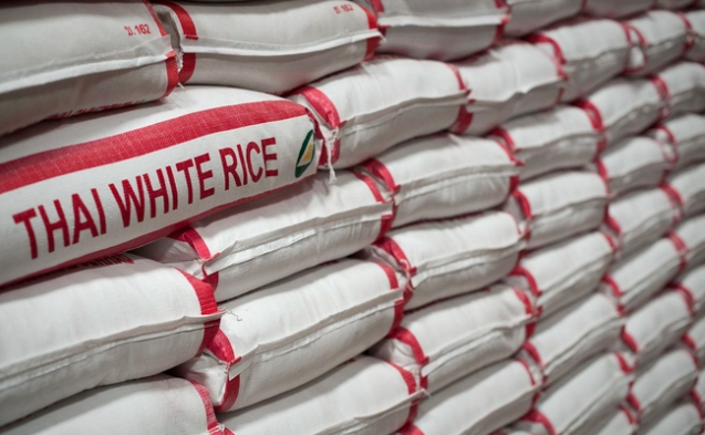 泰国预计向意大利出口更多大米 ảnh 1
