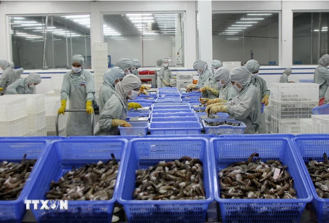 美国将对进口自越南虾类征收暂定反补贴税 ảnh 1 美国将对进口自越南虾类征收暂定反补贴税 ảnh 1