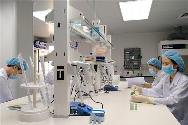 越南逐步自主研制新冠疫苗 ảnh 2 越南逐步自主研制新冠疫苗 ảnh 2