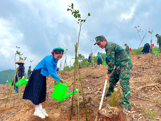 广宁省在植树节期间种植百万棵树 ảnh 1 广宁省在植树节期间种植百万棵树 ảnh 1