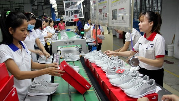 CPTPP生效后越南商品在加拿大市场占有率不断增加 ảnh 1