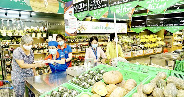 胡志明市推进产品深加工 提高稳物价效率 ảnh 1 胡志明市推进产品深加工 提高稳物价效率 ảnh 1