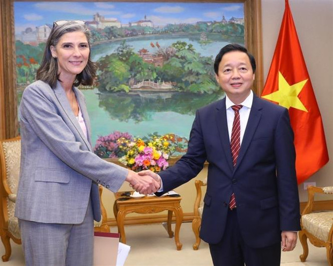 越南政府副总理陈红河会见UNDP和USAID驻越南首席代表 ảnh 1