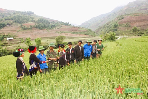 越南军队与边境人民同心协力 ảnh 1 越南军队与边境人民同心协力 ảnh 1