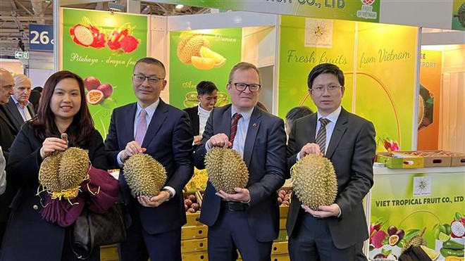 经济外交:越南企业参加世界最大的新鲜果蔬展 ảnh 1 经济外交:越南企业参加世界最大的新鲜果蔬展 ảnh 1