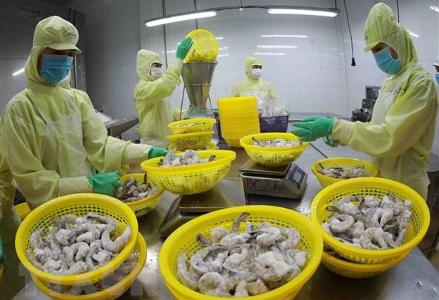 范明政访文为双方贸易合作开辟新机遇 ảnh 2 范明政访文为双方贸易合作开辟新机遇 ảnh 2