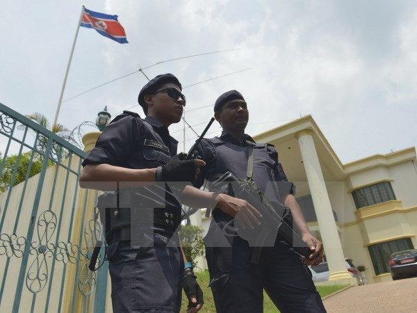 马来西亚大力开展打击非法外国劳工行动 ảnh 1