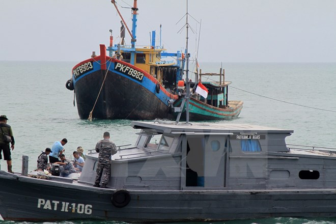 印尼拟建立《打击非法捕鱼及相关犯罪活动区域公约》 ảnh 1