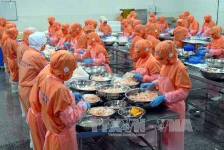 越南拨出1000多亿越盾用于提高渔业竞争力 ảnh 1 越南拨出1000多亿越盾用于提高渔业竞争力 ảnh 1