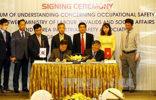 韩国协助越南做好劳动安全卫生工作 ảnh 1 韩国协助越南做好劳动安全卫生工作 ảnh 1