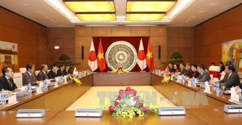 国会主席阮氏金银与日本国会众议院议长大岛理森举行会谈 ảnh 2 国会主席阮氏金银与日本国会众议院议长大岛理森举行会谈 ảnh 2