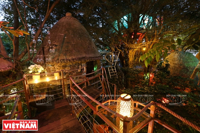 体验树屋 ảnh 10 体验树屋 ảnh 10