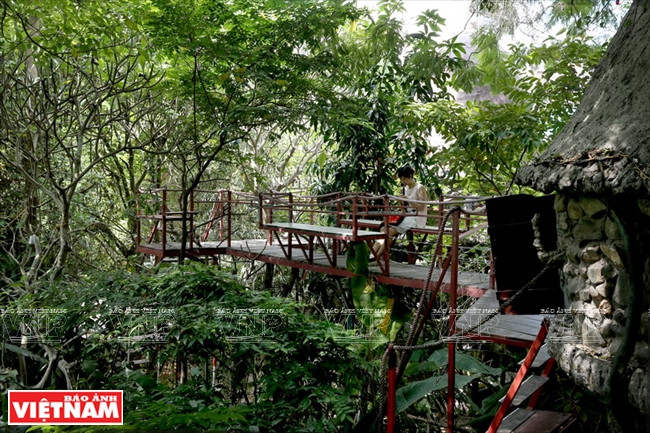 体验树屋 ảnh 7 体验树屋 ảnh 7