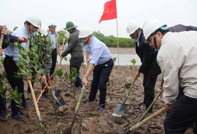 世界湿地日:越南努力做好湿地保护工作 ảnh 1 世界湿地日:越南努力做好湿地保护工作 ảnh 1