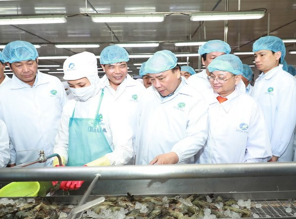 阮春福总理参观金瓯省明富水产集团虾类加工模式 ảnh 1 阮春福总理参观金瓯省明富水产集团虾类加工模式 ảnh 1
