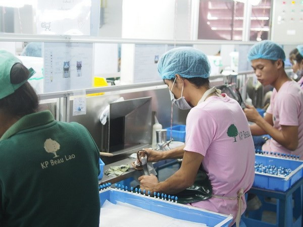 老挝成为日本多家投资商的投资乐土 ảnh 1