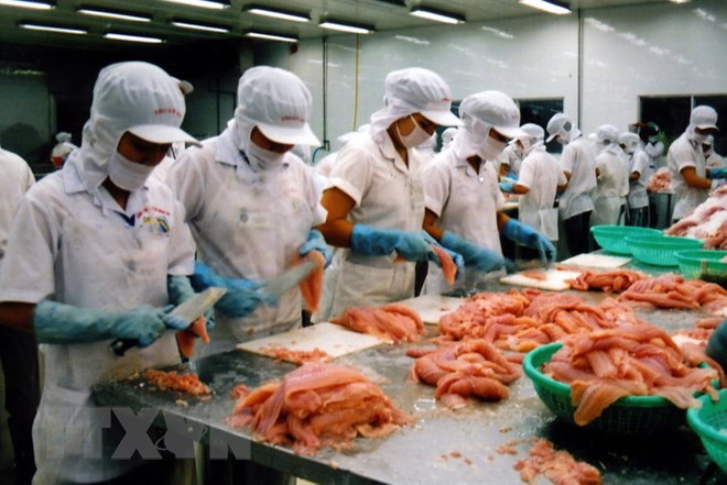 芹苴市商品进出口金额猛增 ảnh 2 芹苴市商品进出口金额猛增 ảnh 2