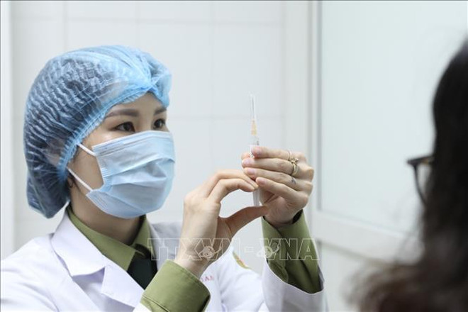 越南新冠疫苗研发工作释放积极信号 ảnh 1 越南新冠疫苗研发工作释放积极信号 ảnh 1