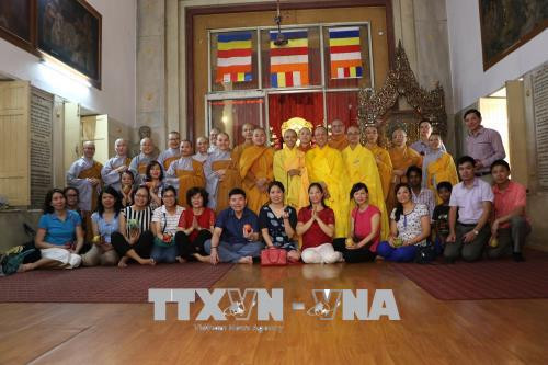 海外越南人欢度佛诞大典 ảnh 2