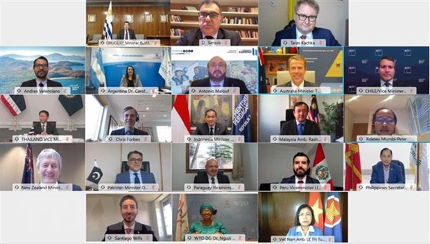 越南与凯恩斯集团推动WTO农产品贸易规则的改革 ảnh 1