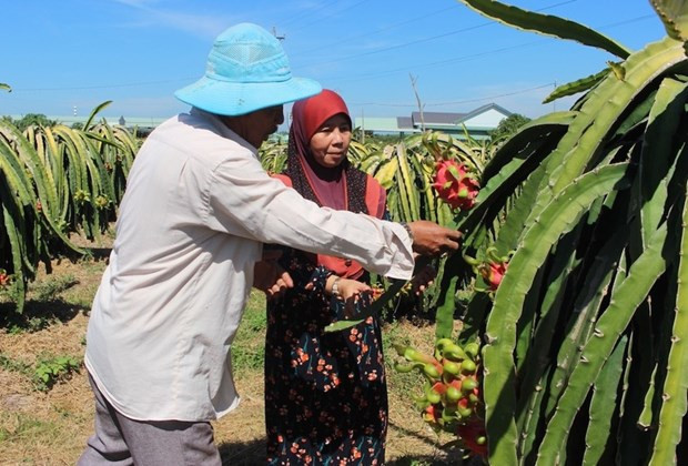 同奈省加大对少数民族地区的招商引资力度 ảnh 1 同奈省加大对少数民族地区的招商引资力度 ảnh 1