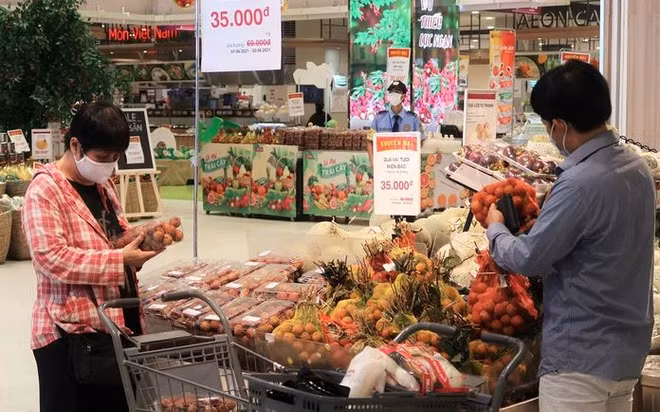 日本永旺株式会社给越南新冠疫苗基金会捐出250亿越盾 ảnh 1 日本永旺株式会社给越南新冠疫苗基金会捐出250亿越盾 ảnh 1