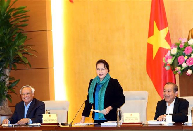 国会主席阮氏金银:越南法律体系不断健全完善 ảnh 1 国会主席阮氏金银:越南法律体系不断健全完善 ảnh 1