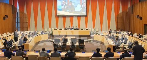 越南正式担任本月联合国安理会轮值主席国 ảnh 1