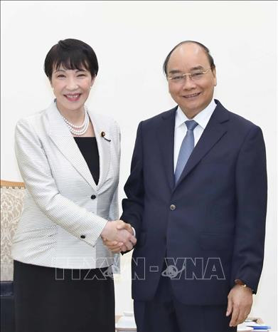 阮春福总理会见日本内务和通信大臣高市早苗 ảnh 1 阮春福总理会见日本内务和通信大臣高市早苗 ảnh 1