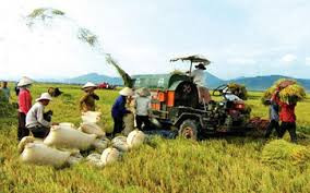 《跨太平洋伙伴关系》是推动农业结构重组的机会 ảnh 1