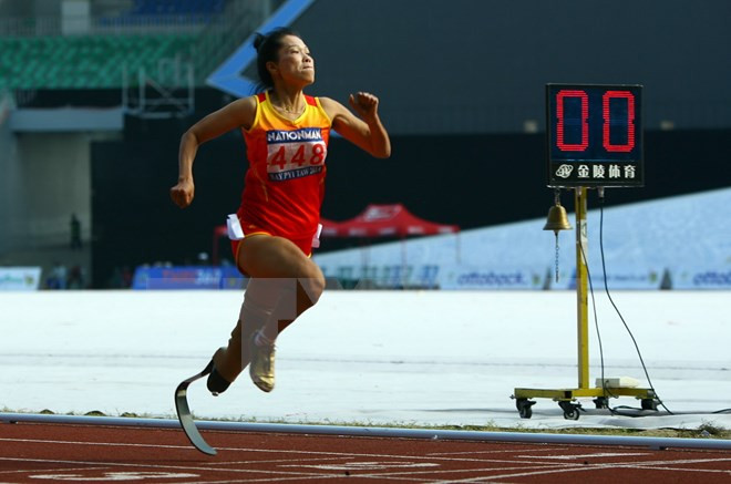 越南派遣130名运动员参加第八届东南亚残运会 ảnh 1 越南派遣130名运动员参加第八届东南亚残运会 ảnh 1