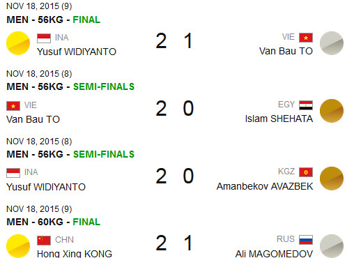 2015年世界武术锦标赛落幕：越南武术队获4银3铜 ảnh 1