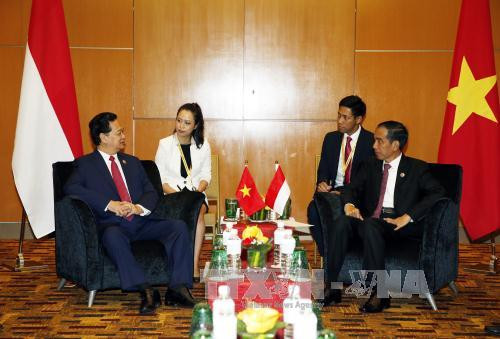 越南政府总理阮晋勇总理会见印尼总统和俄罗斯总理 ảnh 1 越南政府总理阮晋勇总理会见印尼总统和俄罗斯总理 ảnh 1