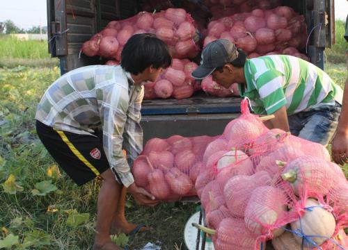 九龙江三角洲地区各省市招商引资共74个 ảnh 1 九龙江三角洲地区各省市招商引资共74个 ảnh 1
