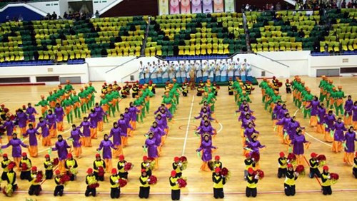 2015年东南亚学生体育运动会:越南代表队在奖牌榜上居第4位 ảnh 1 2015年东南亚学生体育运动会:越南代表队在奖牌榜上居第4位 ảnh 1