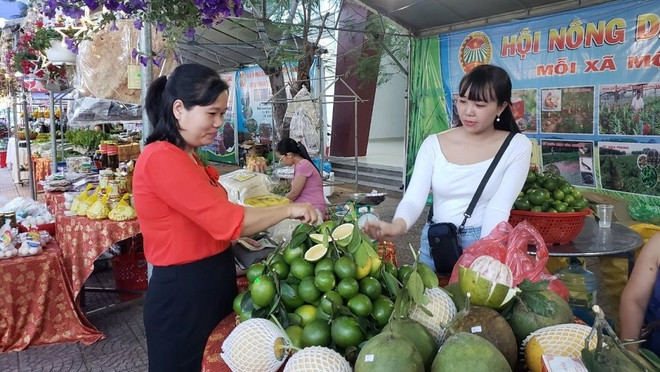 实现农业生产投资的供求对接 ảnh 1 实现农业生产投资的供求对接 ảnh 1