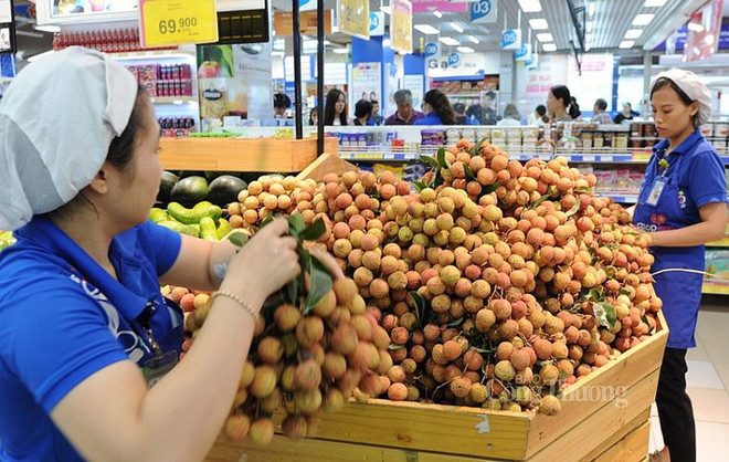 越南-中国山东企业对接视频交易会 ảnh 1