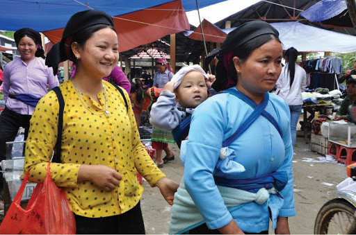 在越南的新农村发展中促进性别平等 ảnh 1