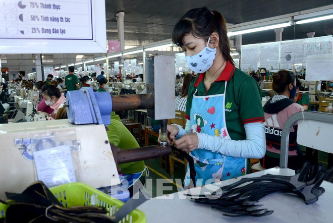 农村失业率比城市低近一倍 ảnh 1 农村失业率比城市低近一倍 ảnh 1