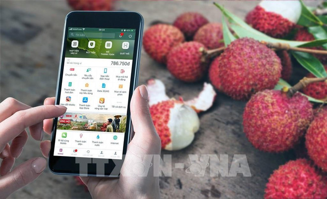 通过Momo电子钱包平台上的“加大越南农产品力度”正式启动 ảnh 1 通过Momo电子钱包平台上的“加大越南农产品力度”正式启动 ảnh 1