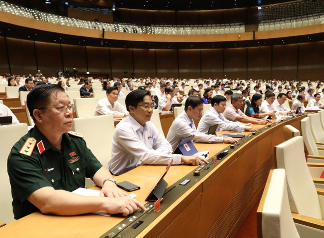 第十四届国会第九次会议：为2020年营业额在2000亿越盾以下的企业减税 ảnh 1