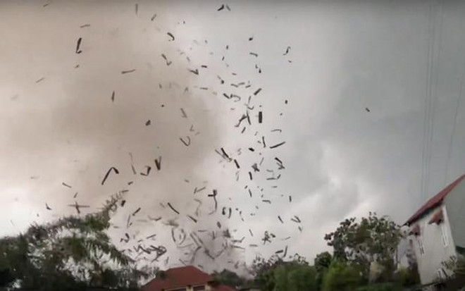 飓风致永福省一木业厂房倒塌 3人死亡20人受伤 ảnh 1