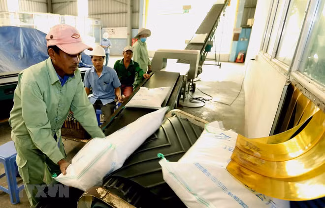 2020年前5月越南大米出口量达14.1亿美元 ảnh 1