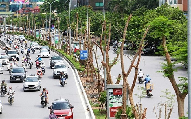河内市力争2019年种植40万棵树 ảnh 1 河内市力争2019年种植40万棵树 ảnh 1