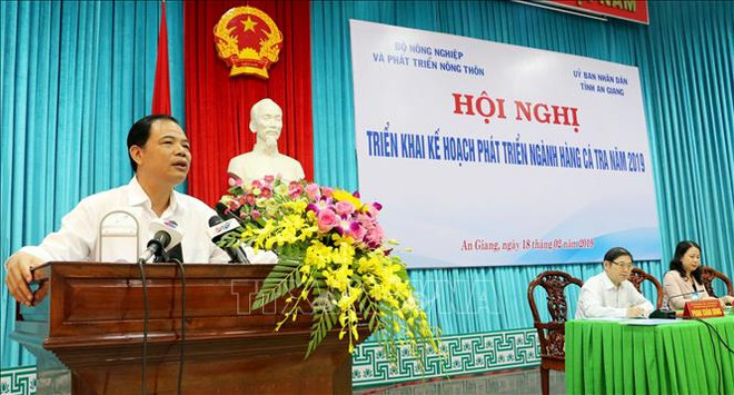 越南查鱼产业走向可持续发展 ảnh 1 越南查鱼产业走向可持续发展 ảnh 1