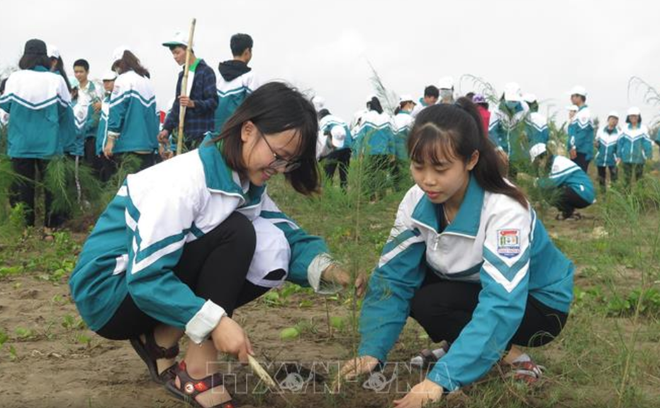 南定省在该省沿海地区种植3000棵树共同建设美丽家园 ảnh 2