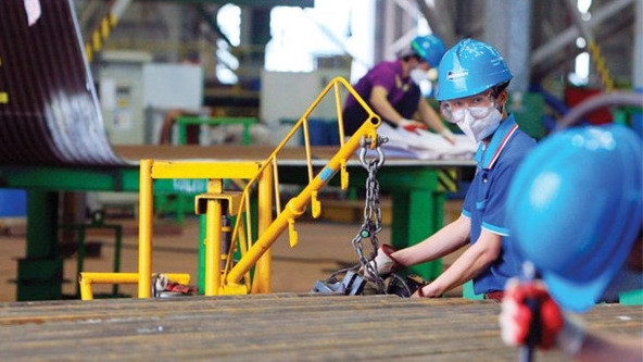 迎来2019年的新希望 ảnh 1 迎来2019年的新希望 ảnh 1