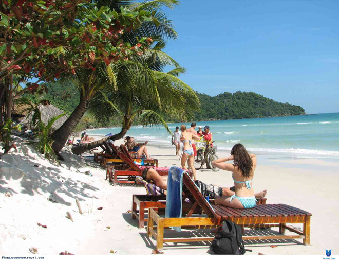 2019年春节期间富国岛迎客超6.5万人次 ảnh 1 2019年春节期间富国岛迎客超6.5万人次 ảnh 1