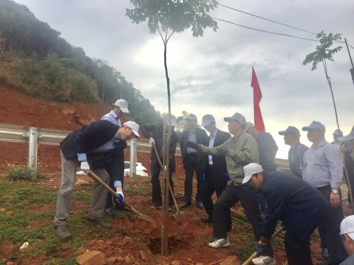 山罗省举行2019年植树节启动仪式 ảnh 2