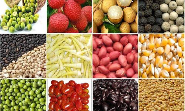 2019年越南农产品市场迎来新的机遇和挑战 ảnh 1